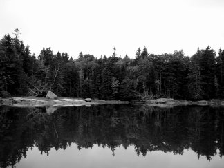 epc_site_112009001004.jpg