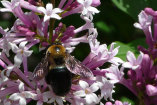 epc_site_112009003001.jpg